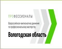 Профессионалы.